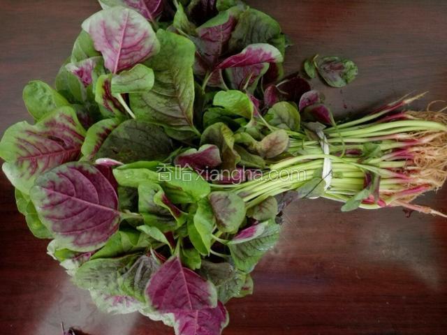 准备好新鲜的苋菜