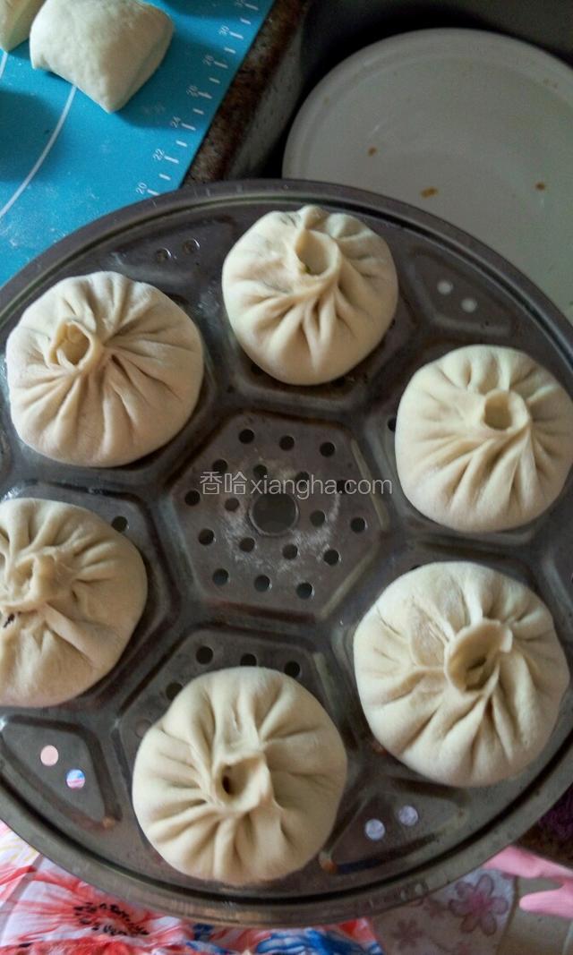 豇豆猪肉包