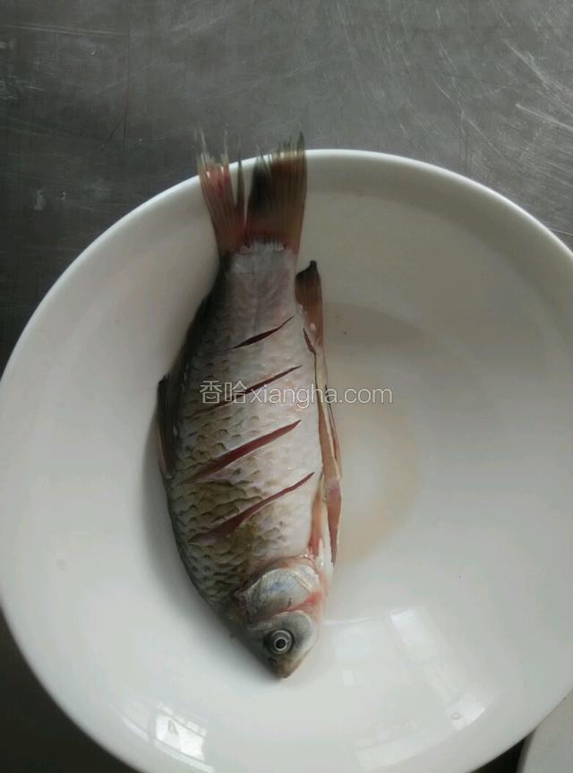 把鱼弄好，洗净，并且在鱼肚上面切3～5刀纹，以便入味（刀纹不可太深，以免把鱼切断）