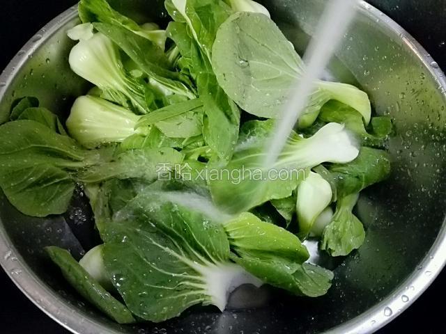 上海青洗干净，放水里泡一下，然后把大一点的叶子从中间切开好炒熟，捞出沥干水份。