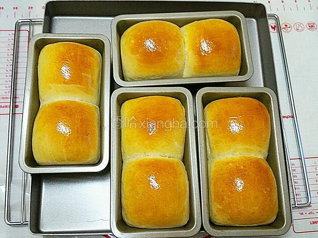 送進已預熱的烤箱中，165度烤15一20分鐘（時間溫度僅供參考，請以自家烤箱實際情況為準），出爐後脫模涼至手溫密封保存