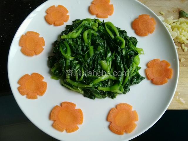 小青菜开水里放点盐煮熟摆盘