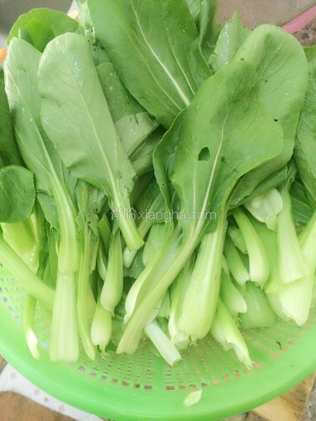  新鲜上海青清洗干净，摘成瓣。