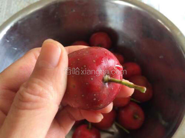 拔掉山楂蒂部的柄；