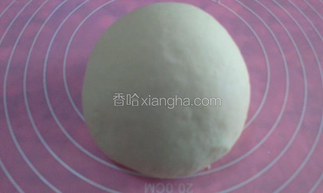 先和面，盖保险膜醒上



