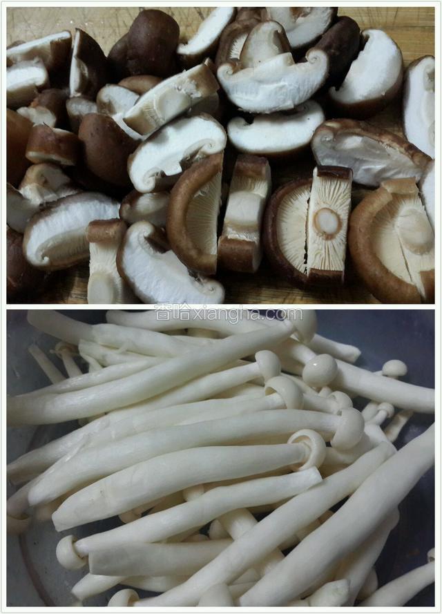 鲜香菇和海鲜菇分别洗干净，鲜香菇去蒂用刀一开三切开（小只的可以一开二）