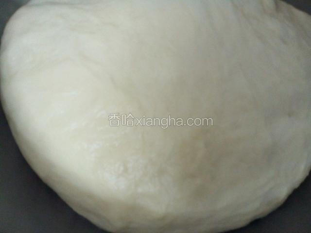 发酵至2倍大，揉搓面团10分钟完全排气。