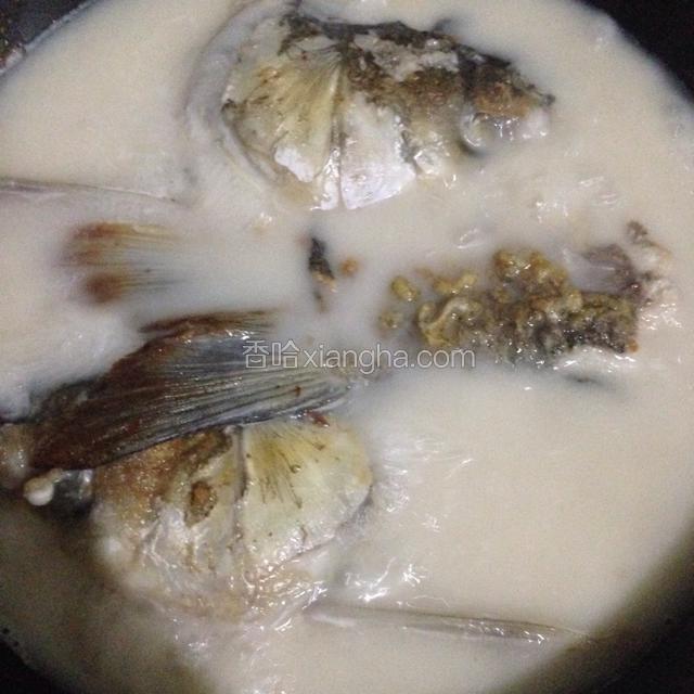 鱼头鱼尾都煎好后，加入少许料酒，生姜片，一次性加入开水大火煮开5分钟，转小火炖10分钟。
(切记加入开水，先大火煮噢)