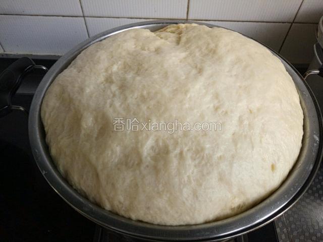面团发至两倍大小时取出来