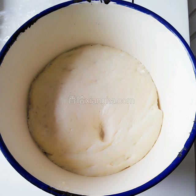 依旧是采用后油法将面揉至有手套膜然后发酵成两倍大