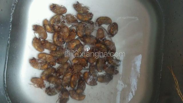 金蝉是从土里刚爬出来的，所以肚子和前面两个爪子上会有沙子，洗的时候多浸泡一会，然后一个一个冲洗干净。