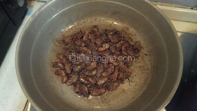 锅烧热，放食用油，倒入金蝉翻炒。
