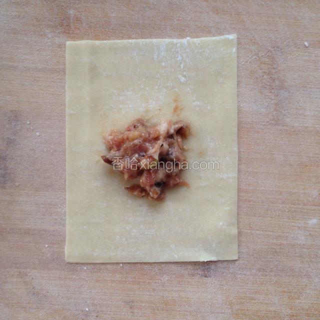 准备好馄饨皮，中间放一勺肉馅