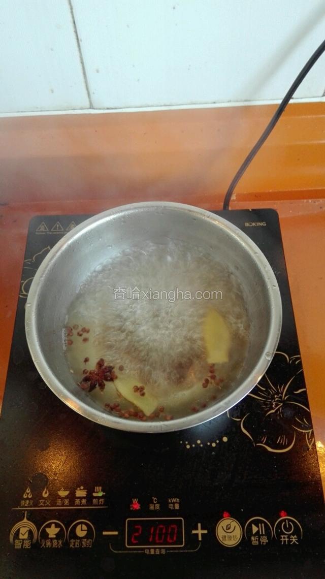 把花椒，八角和姜放入适量凉水煮开后加入适量盐