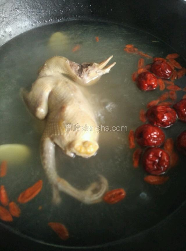 焯好水的鸽子放进清水里面，将姜片，桂圆，红枣，枸杞一起加进去，开大火煮开锅后，放进煲汤锅煮一小时！