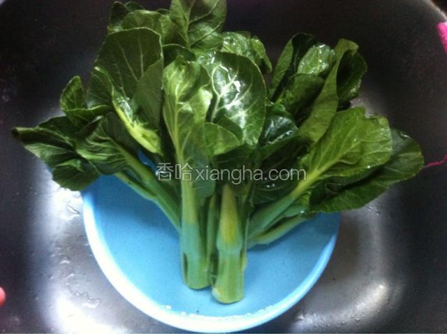菜心洗净（尽量选嫩的 小颗的）