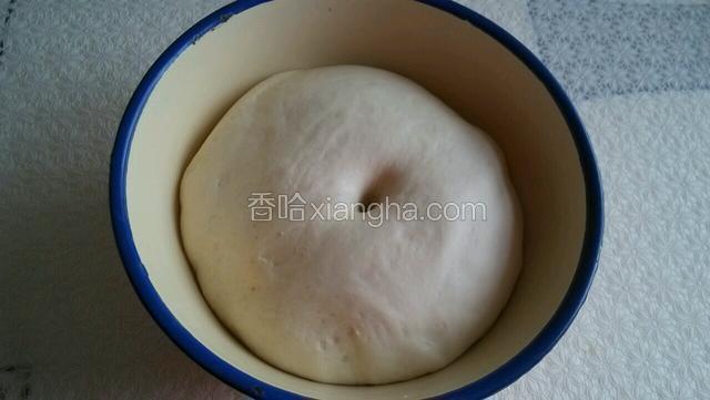 然后放温暖处醒发至两倍大