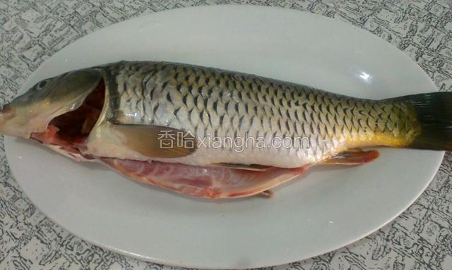 鲤鱼一条，去内脏，去鳞清洗干净