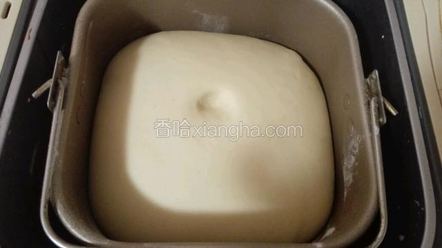 发酵至2.5倍大，发面完成！