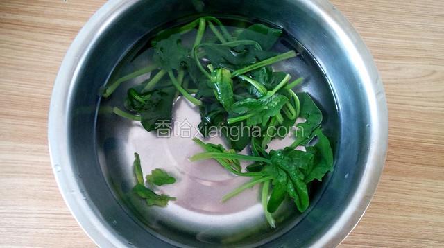 把菠菜用开水焯一下。