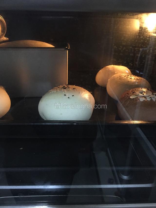 发到9分满，刷蛋液，烤箱预热180度35分钟，中间加盖锡纸。
