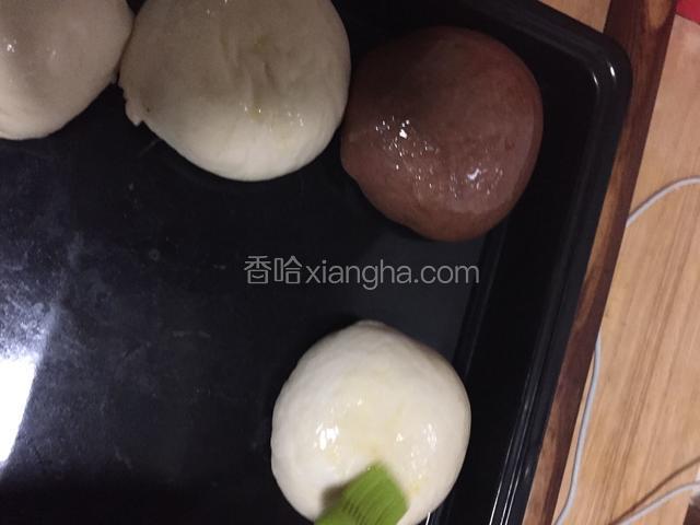 分别涂抹蛋液。