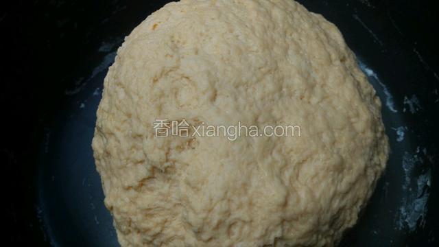 把面粉充分揉好后进行室温发酵5小时，温度太低可放烤箱发酵