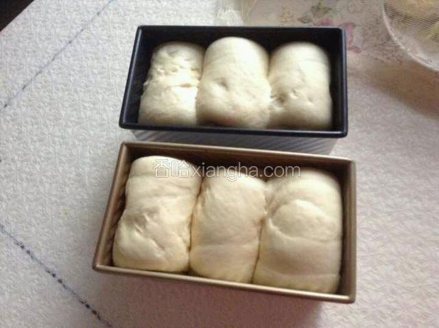 发酵到模具的八九分满盖上盖子。预热烤箱