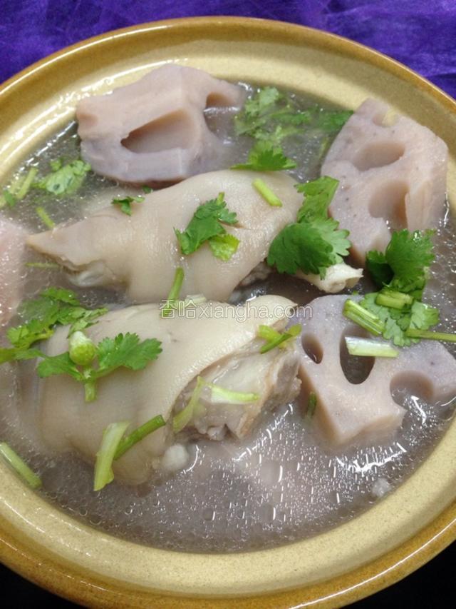 一份美味可口的猪蹄莲藕汤就炖好了，出锅之前加一点盐调味。
最后撒上香菜点缀。