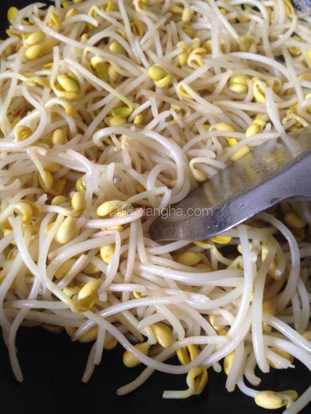 炒锅入油烧热，放入黄豆芽翻炒，加入少许盐和一点点开水。
炒熟后装出。
