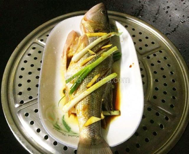 锅烧开水,放上蒸架,放上鱼,中火蒸10分钟.