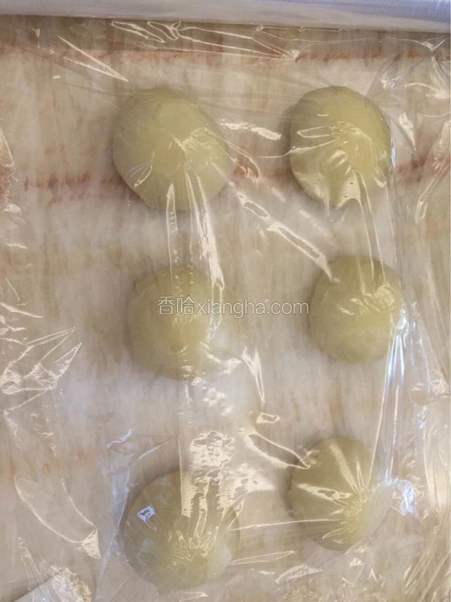 将面团排气 分割成85个大小每个 可分6个 盖上保鲜膜 醒发20分钟