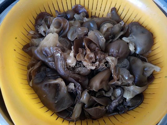 再制作饺子馅，泡发好黑木耳沥水备用