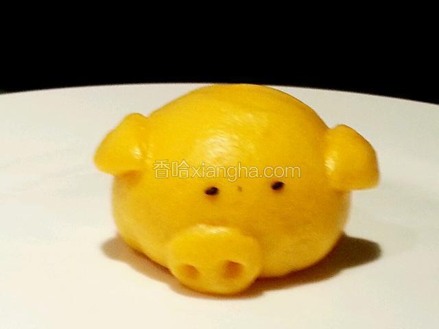 还有一只歪鼻子的小猪哦