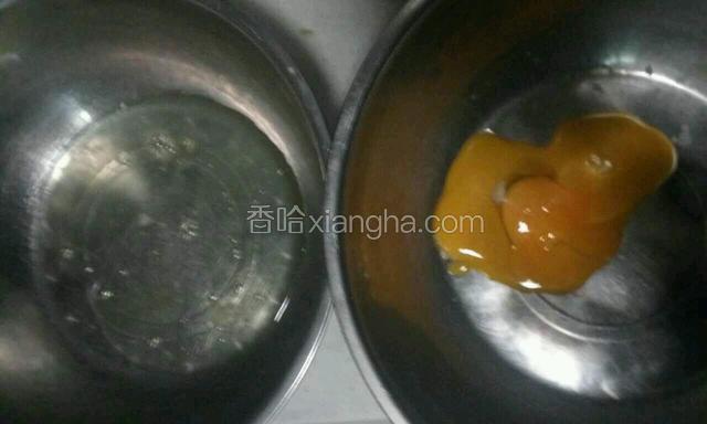 蛋黄蛋清分离在两个无水无油盆中
