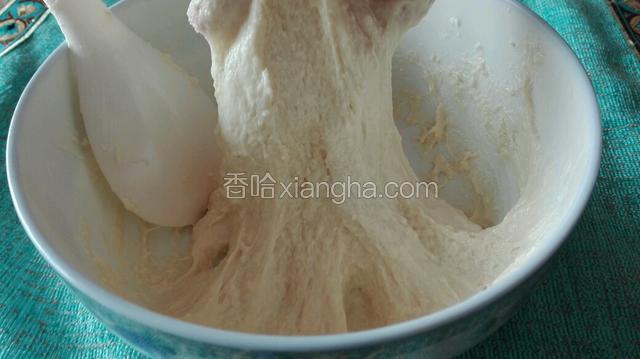 在自发小麦粉中加入100g纯牛奶、25g高钙奶粉，适量白糖，少量植物油与水，均匀搅拌。