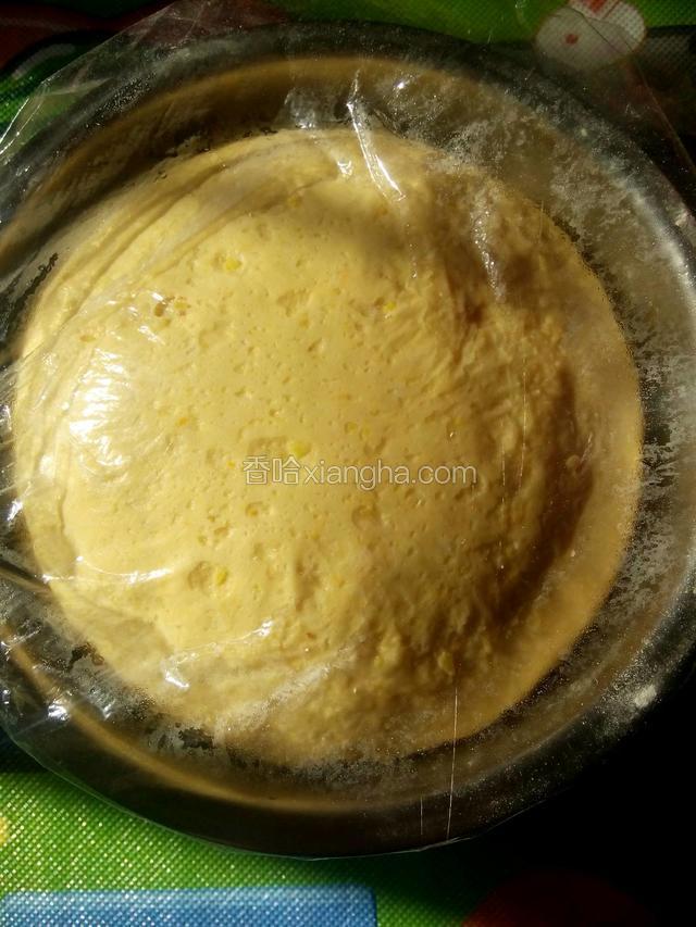 .盖好保鲜膜，放置温暖处发酵至2倍大。

