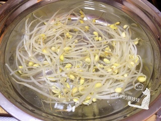 然后捞出豆芽进凉水