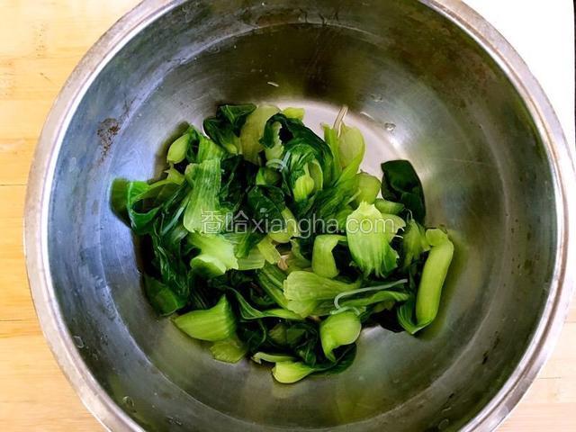 油菜洗净，用开水焯熟后过凉水，攥干水份备用。
