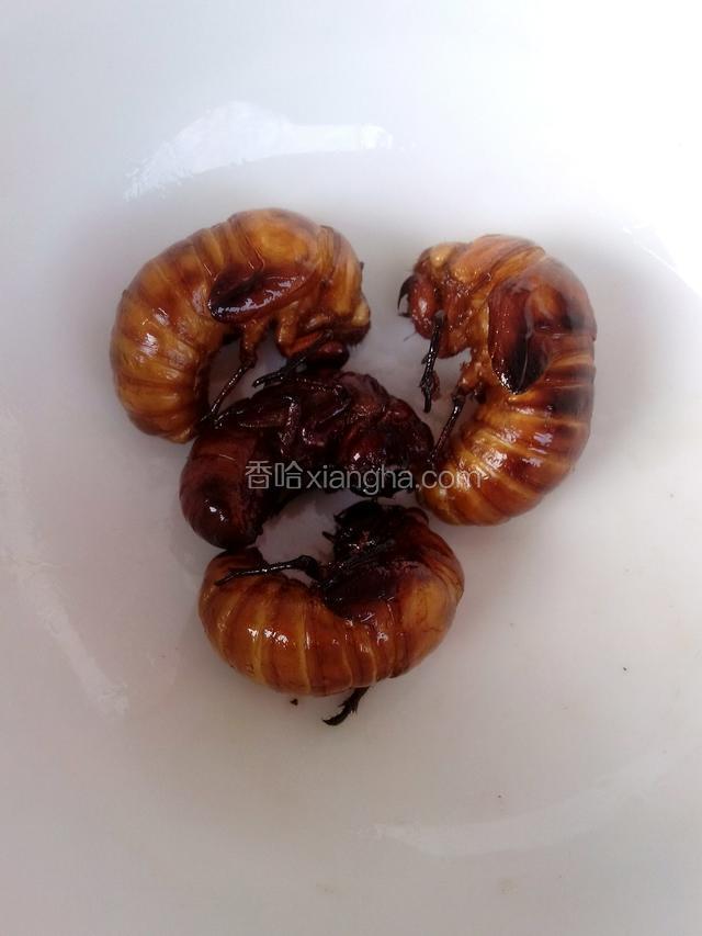 油炸金蝉