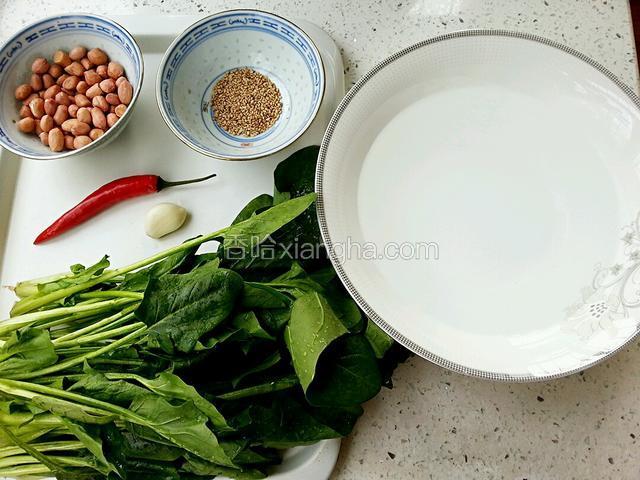 准备食材，菠菜摘洗干净，切六七公分的段，另准备一大碗凉白开水