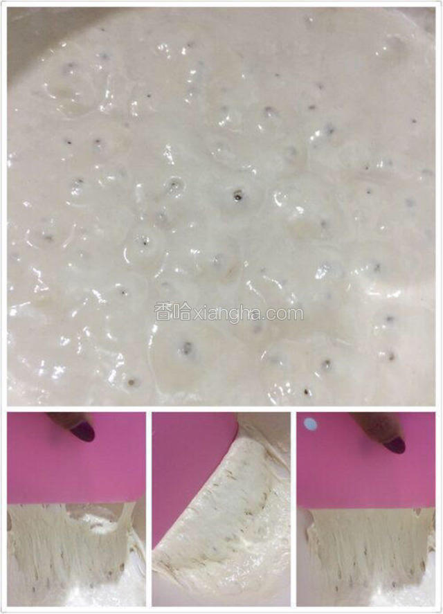 用保鲜膜盖住碗口，在室温下发酵3~4小时，直到酵头起泡，并能拉出大的蜂窝状。
或者使用低温冷藏发酵，混合好波兰酵头后将它放在冰箱冷藏室中，冷藏最多可保存3天。