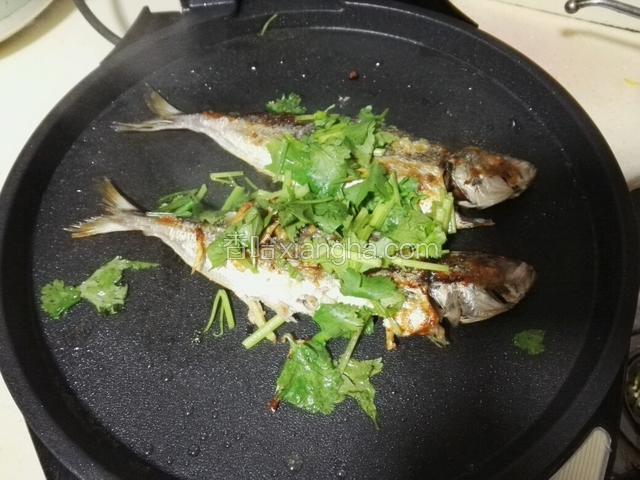 煎好撒上香菜。