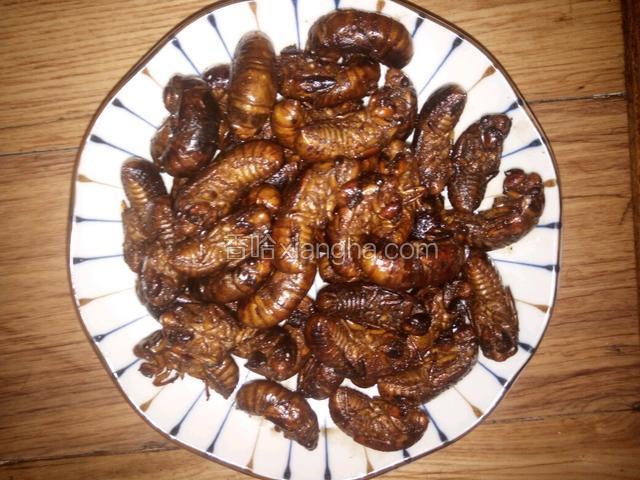 油炸金蝉