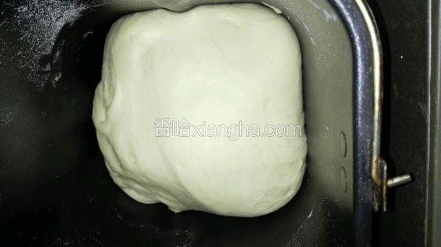 启动面包机发酵