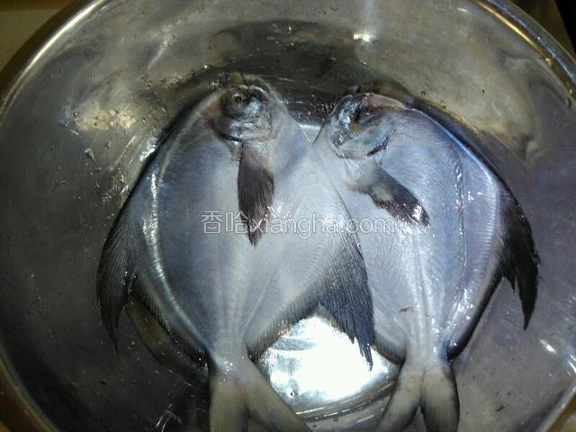 鯧鳊鱼用料酒和盐抹匀腌制