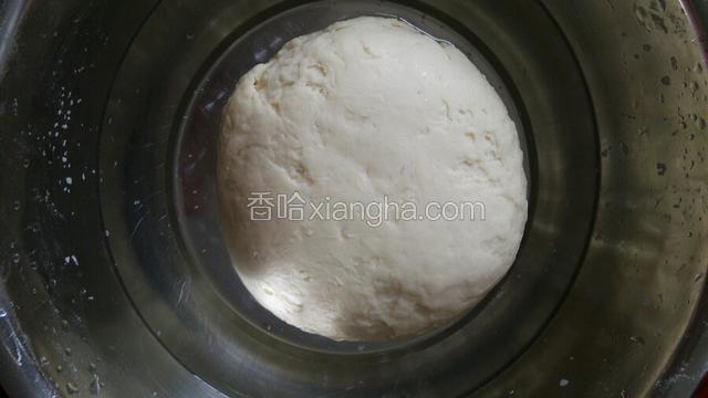 面团容器加入少许清水
