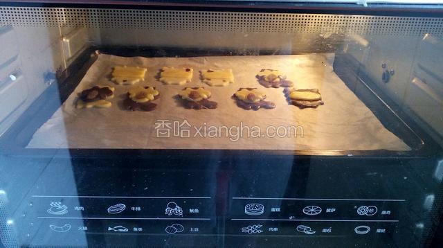 压好的鼻子放在奶牛的头上，稍摁一下，烤箱预热160度，烤15分钟。（同样的方法也可以做成小黑牛或者是小松鼠，做小松鼠时提前把果仁放在生胚上，烤好后就不会掉下来）