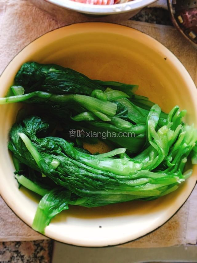 将小白菜洗净，在热水中烫熟，捞出过凉，攥干水分。