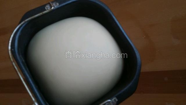 面发好了 太漂亮了 就没戳它(*^__^*)